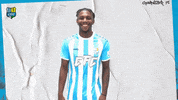 Football Sport GIF by ChemnitzerFC