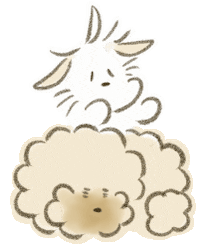 pupu_to_maru 犬 poodle 강아지 maltipoo Sticker