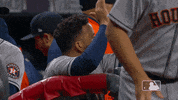 World Series Celebration GIF by MLB