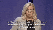 Liz Cheney Gop GIF by GIPHY News