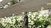 5hourENERGY drama tea zoom dramatic GIF