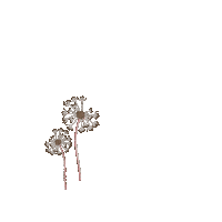 Dandelion Sticker by Kyte BABY