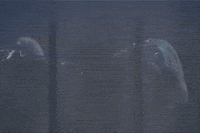 fox tv GIF by The X-Files