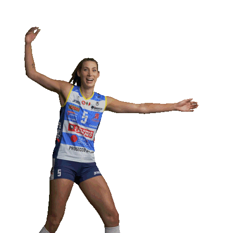 Guitar Volleyball Sticker by ImocoVolley