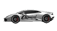 Racing Pneus Sticker by Colonial Rodas