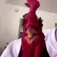 thegoldensnowflake meme chicken nicki minaj hold on GIF
