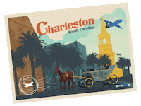 Travel Flying Sticker by Breeze Airways
