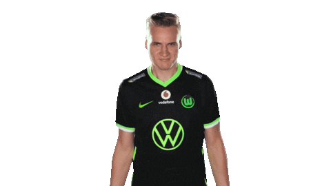 E Sports Sport Sticker by VfL Wolfsburg