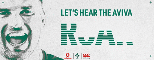 Teamofus GIF by Irish Rugby