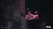 GIF by Disco Donnie Presents