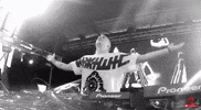 brillz GIF by Disco Donnie Presents