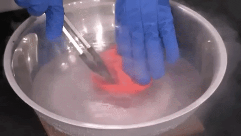 evolutionmusicru giphygifmaker GIF