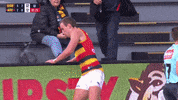 Round 6 Afl GIF by Adelaide Crows