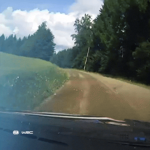 Rally Finland GIF by FIA World Rally Championship