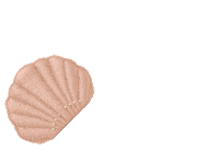 Shell Seaside Sticker by Les Petits Joueurs