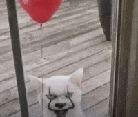 SphynxTTL cat bizzarre sphynxttl ttlsphynx GIF