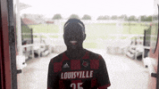 University Of Louisville Go Cards GIF by Louisville Cardinals