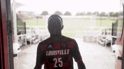 University Of Louisville Go Cards GIF by Louisville Cardinals
