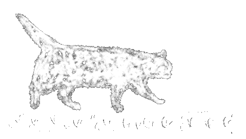 Cat 歩く Sticker