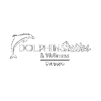 Dolphinsuitescuracao rediscover curaçao tropicalgetaway dolphinsuites Sticker