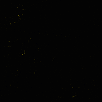 Black Lives Matter Police GIF by INTO ACTION