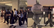 Bunny Win GIF