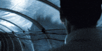 Shadow Creature GIF by A24