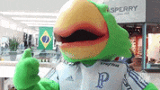 panama mascote GIF by SE Palmeiras