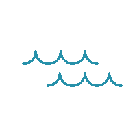 Ocean Seaweed Sticker by gimMe Snacks