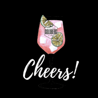 Cheers Drinks GIF by GOLDBERG & SONS