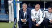 euro 2016 soccer GIF by Sporza