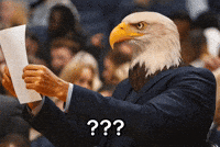 Bg3 GIF