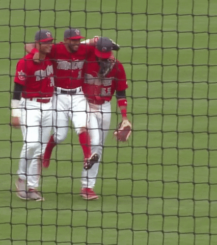 Happy Got Your Back GIF by Fort Wayne TinCaps