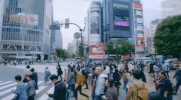 viceland GIF by HUANG'S WORLD