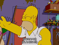 homer simpson episode 13 GIF