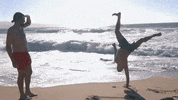 city of angels summer GIF by The Head And The Heart