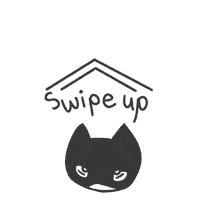 vivdarlin cat swipe up up swipe Sticker
