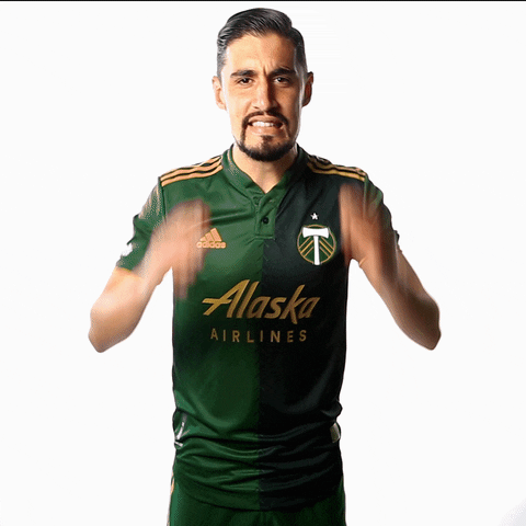 Oh My Omg GIF by Timbers