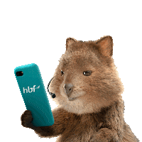 Customer Service Chat Sticker by HBFQuokkas