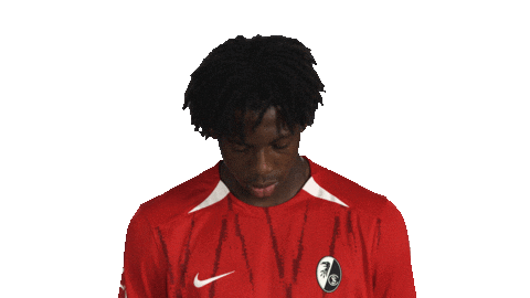 Look Up Sc Freiburg Sticker by Bundesliga