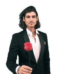 Der Bachelor Flirt Sticker by 3+