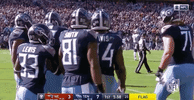 2018 Nfl Football GIF by NFL