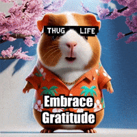 Gratitude GIF by Guinea Gambino