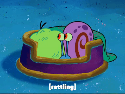 season 7 keep bikini bottom beautiful GIF by SpongeBob SquarePants