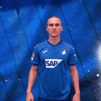 Sport Bundesliga GIF by TSG Hoffenheim