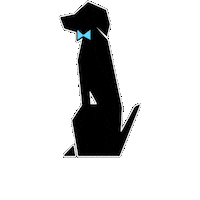 Bttb Fancy Dog Sticker by hsccvt
