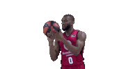 Liga Endesa Spinning Sticker by ACB