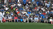 GIF by Wilson Golf