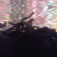 glitch GIF by Liaizon Wakest