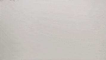 Globeleza GIF by TV Globo
